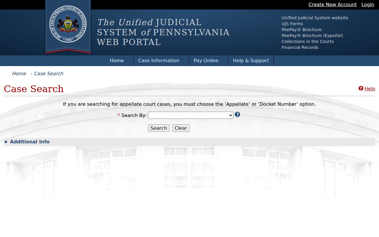 Wyoming County criminal court cases on the statewide UJS search form